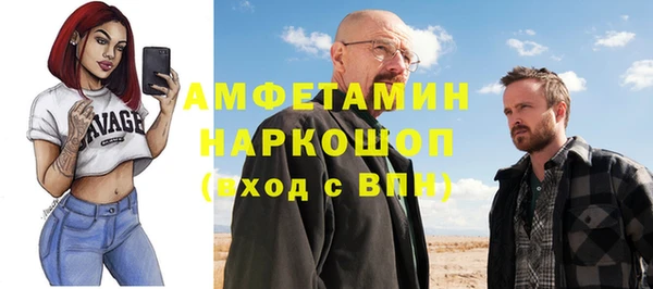 СК Инта