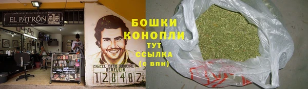 СК Инта