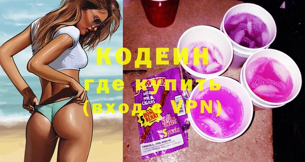 твердый Инсар