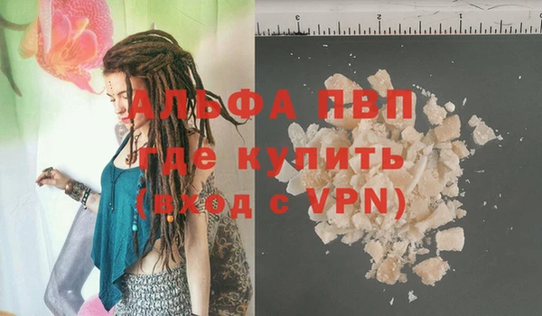 твердый Инсар