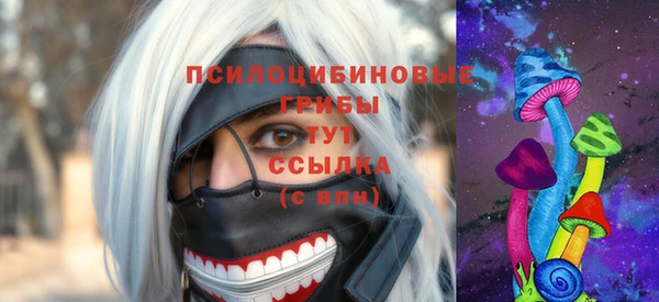 бошки Зерноград