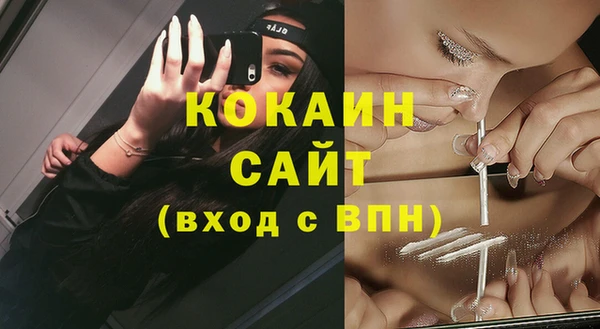 СК Инта