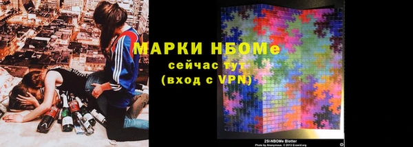 СК Инта