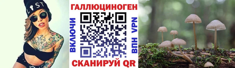 закладки  Чердынь  Галлюциногенные грибы Psilocybe 